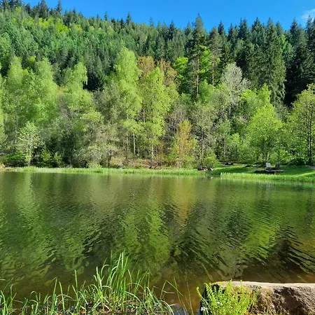 Bergforelle - Bilderbuchausblicke, Sauna Und Genussmomente In Einer Ehemaligen Kapelle