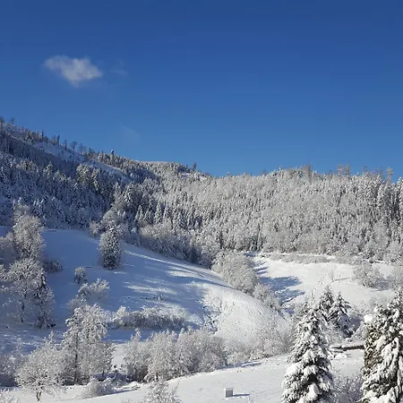 Bergforelle - Bilderbuchausblicke, Sauna Und Genussmomente In Einer Ehemaligen Kapelle