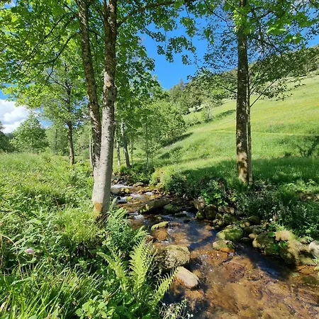 Bergforelle - Bilderbuchausblicke, Sauna Und Genussmomente In Einer Ehemaligen Kapelle Baiersbronn